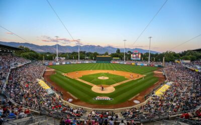 Salt Lake Bees Case Study