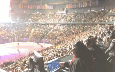 Vegas Golden Knights Case Study