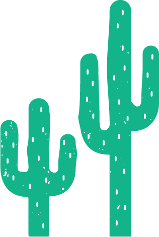 lasso saddleup cactus3
