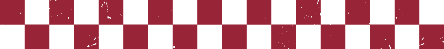 lasso saddleupsummit2026 checker pattern