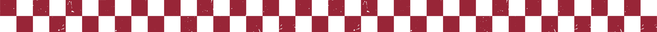 lasso saddleupsummit2026 checker pattern